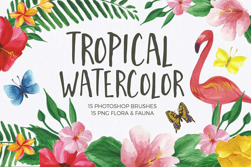 Watercolors Brushes for Photoshop